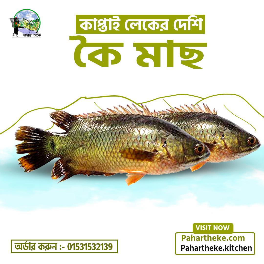 Paharer Koi Mach | লেকের কই মাছ | – Pahar Theke