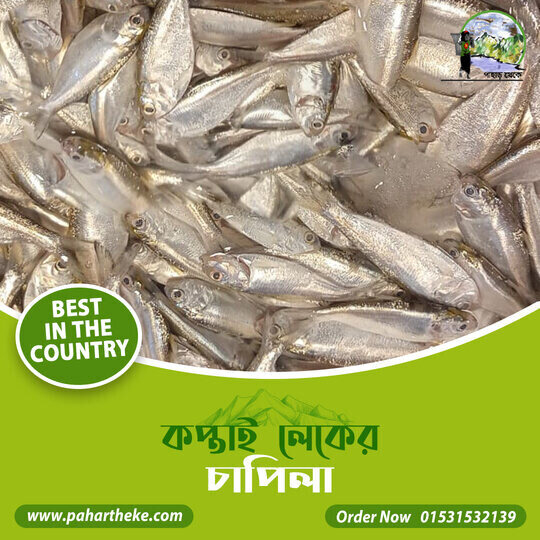 Kaptai Chapila- Kaptai fish