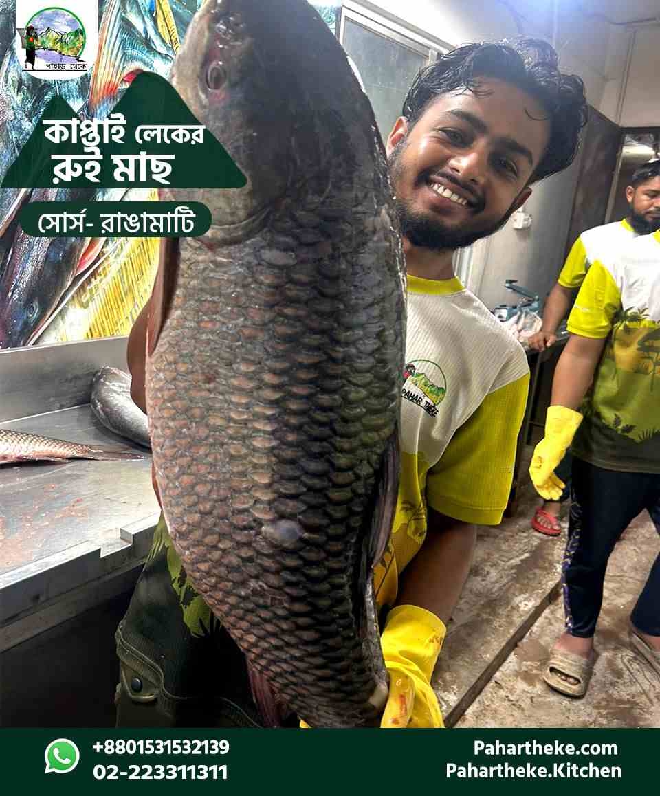 Kaptai Natural Rui 8-15 kg size