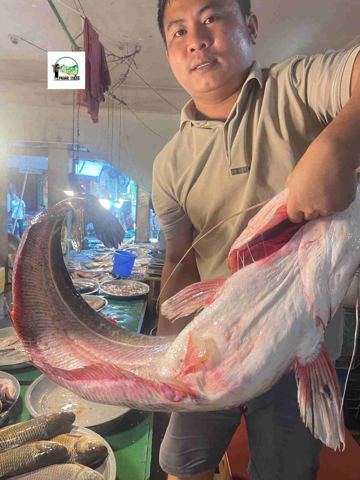 Kaptai big Boyal- Kaptai Rare Big fish
