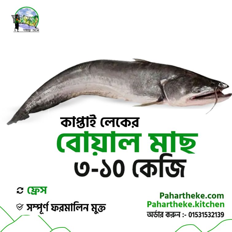 Boal Fish | বোয়াল মাছ | Kaptai Leke fish | - Pahar Theke
