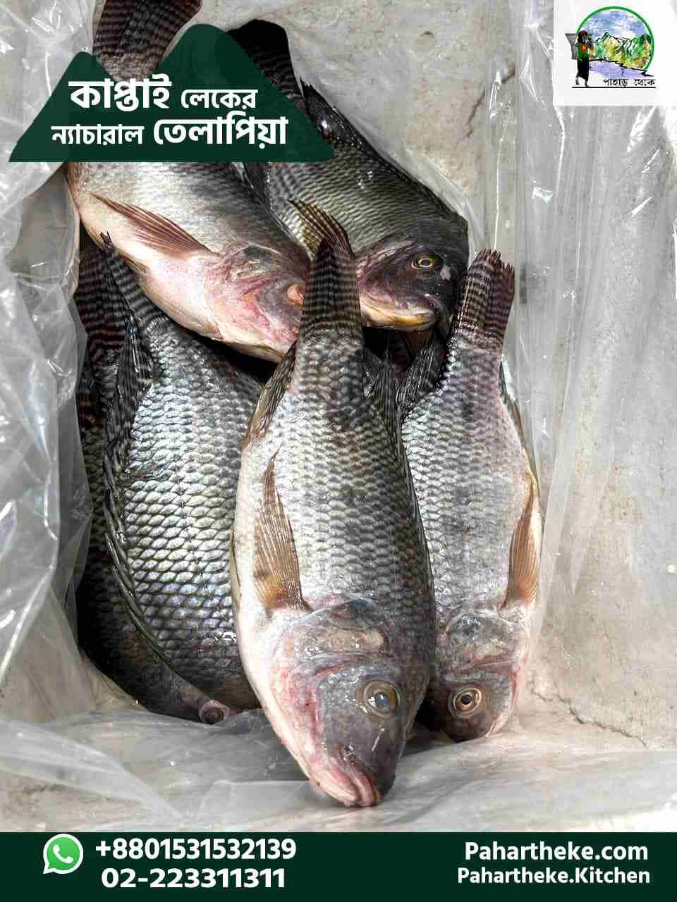 কাপ্তাই ন্যাচারাল তেলপিয়া - রেডি টু কুক - ১ কেজি প্যাক।- ৩০০-৭০০ গ্রাম সাইজ।