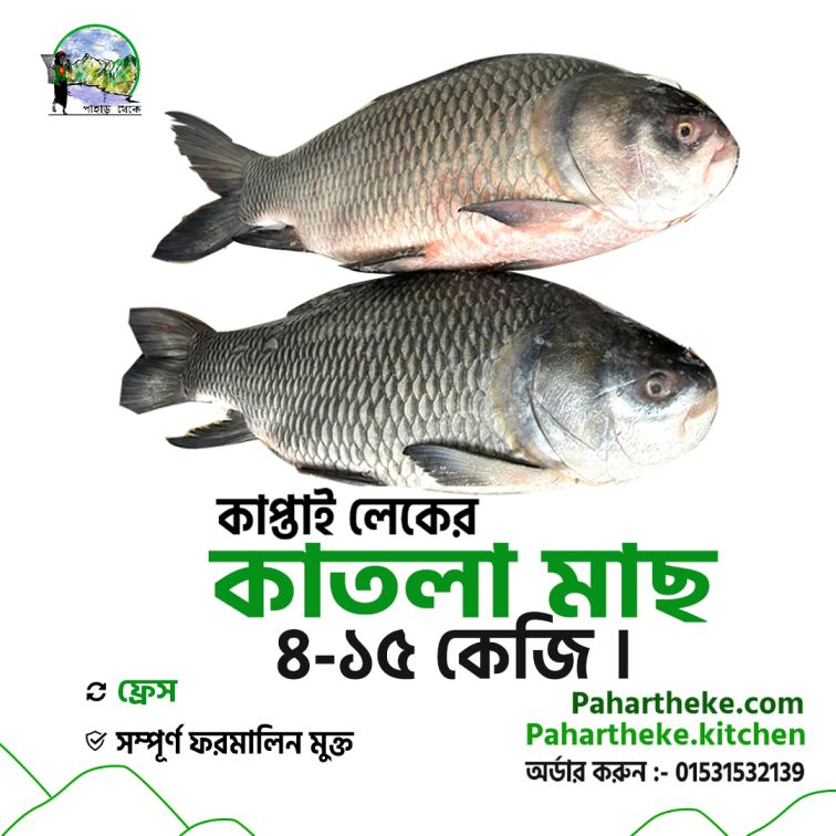 Katla Fish - কাতলা মাছ | Kaptai Lake Fish | - Pahar Theke