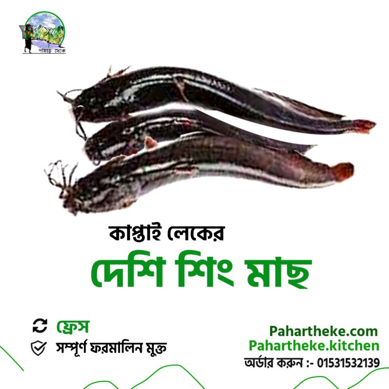 Kaptai Lake Shing Fish | লেকের শিং মাছ | - Pahar Theke
