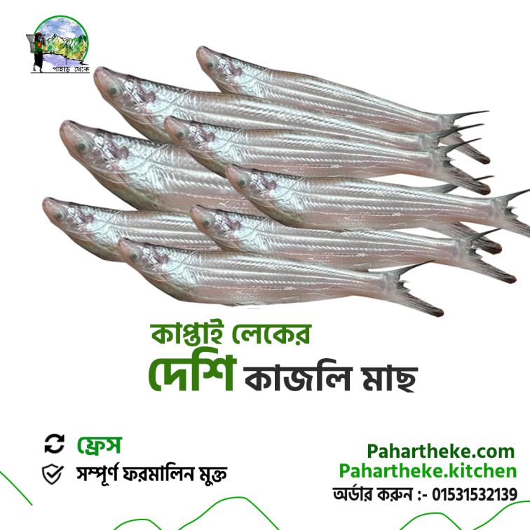 Kajoli Fish - Kaptai Lake fish | - Pahar Theke