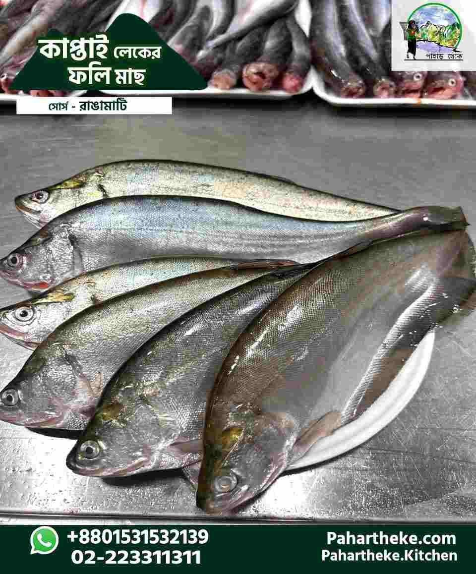 Kaptai Foli Fish | লেকের ফলি মাছ | - Pahar Theke