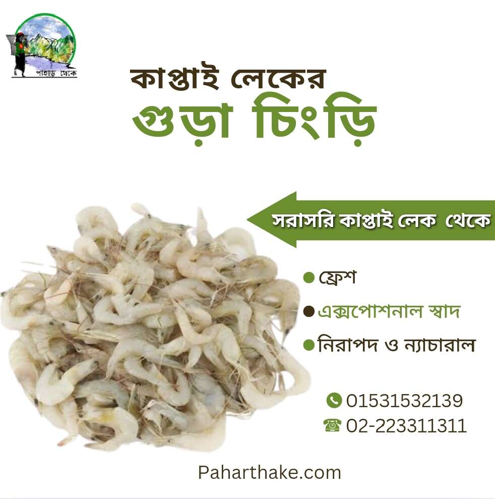কাপ্তাইয়ের গুরা চিংড়ি | Pahari Small Shrimp | - Pahar Theke