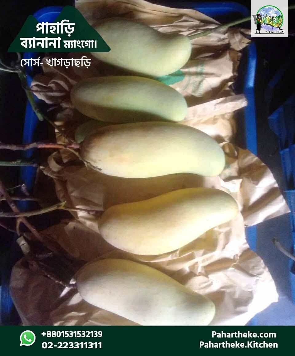 পাহাড়ি বারি - ৪  ( প্রিমিয়াম )