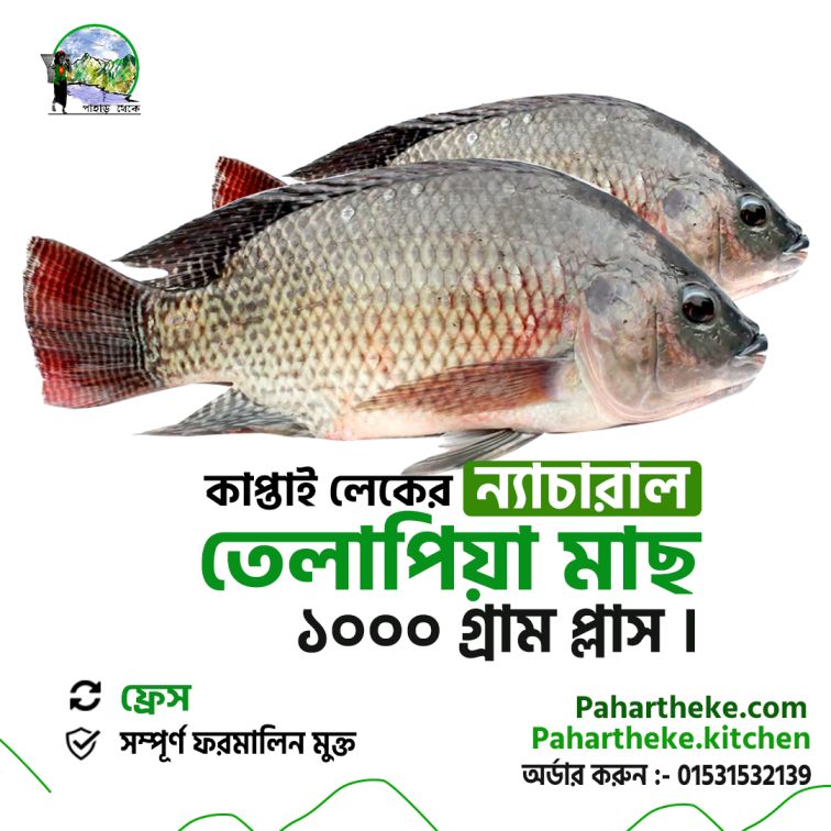 Tilapia - ন্যাচারাল তেলাপিয়া মাছ |  | - Pahar Theke