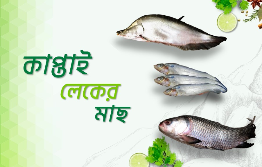 Kaptai Lake fishes ( কাপ্তাই লেকের মাছ )